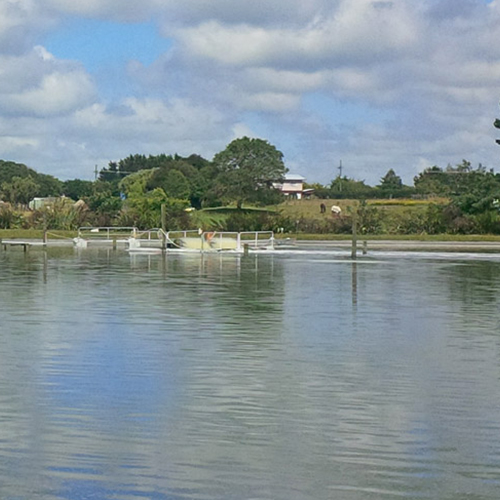 https://www.parklink.co.nz/wp-content/uploads/2024/08/parklink-eltham-pond-feature.jpg