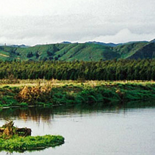 https://www.parklink.co.nz/wp-content/uploads/2024/08/parklink-industrial-meat-processing-anaerobic-plant-feature.jpg