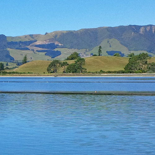 https://www.parklink.co.nz/wp-content/uploads/2024/08/parklink-matamata-pond-feature.jpg