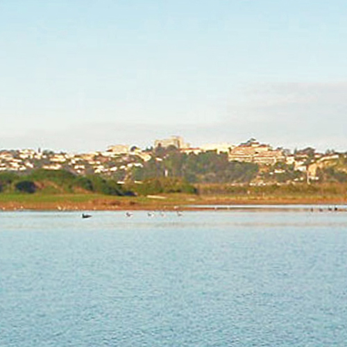 https://www.parklink.co.nz/wp-content/uploads/2024/08/parklink-napier-wild-life-reserve-feature.jpg