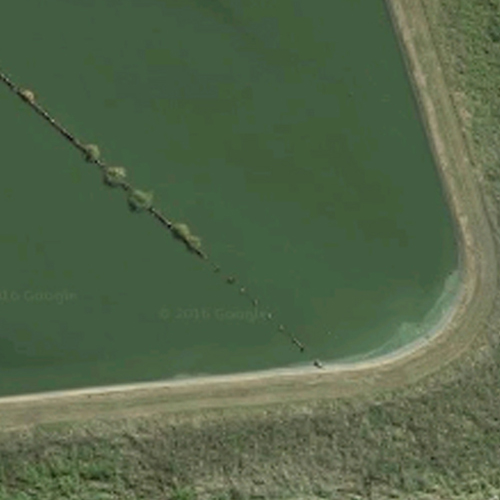 https://www.parklink.co.nz/wp-content/uploads/2024/08/parklink-waverley-pond-feature.jpg
