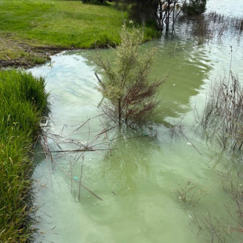 https://www.parklink.co.nz/wp-content/uploads/2024/09/lake-kereta.jpg